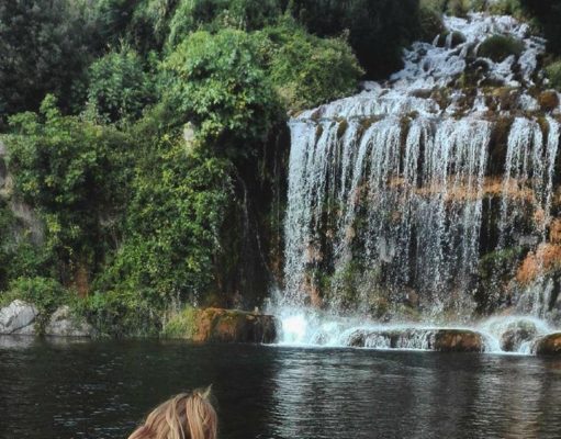 Rester c’est exister: mais voyager, c’est vivre. une beauté unique