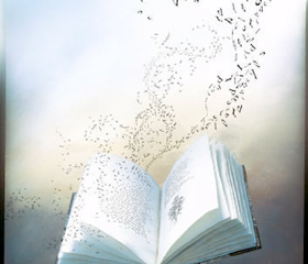 Scrivereleggere